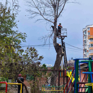 Lucrări silvotehnice la Grădinița de copii nr.92