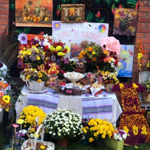 Toamna a umplut cu miresmele şi bogăţiile ei şi curtea instituţiei de educaţie timpurie nr.92