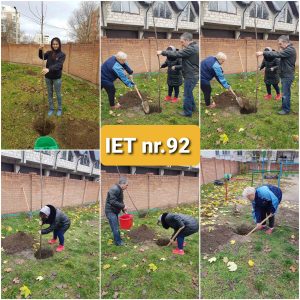 Campania de inverzire și plantare a arborilor de toamnă in IET nr. 92